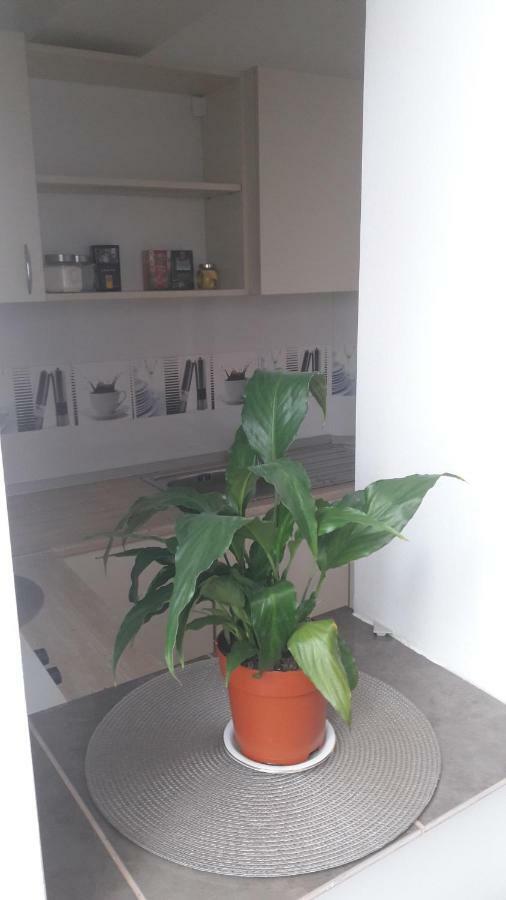 Melody Apartment Άλμπα Ιούλια Εξωτερικό φωτογραφία